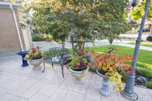 29 Mountcharles Cres Mls-59