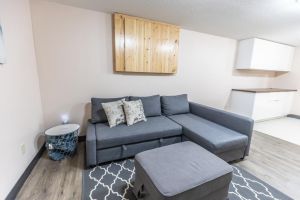 30 Basement Living Room