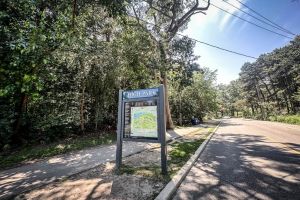 44 Indian Road Cres Mls-68