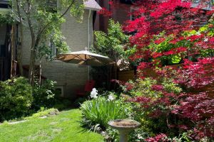 44 Indian Road Cres Mls-72
