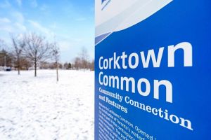 48 Corktown Common