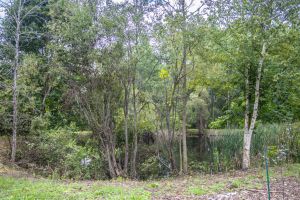 JA 1810 Harper Rd Mls-10