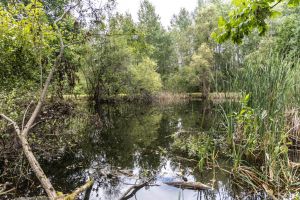 JA 1810 Harper Rd Mls-12