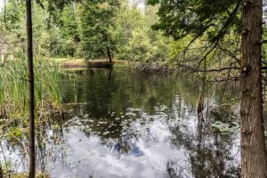 JA 1810 Harper Rd Mls-14