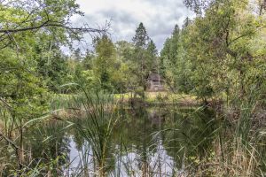 JA 1810 Harper Rd Mls-17