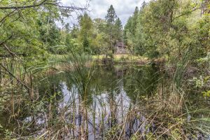JA 1810 Harper Rd Mls-18