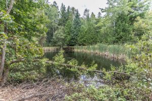 JA 1810 Harper Rd Mls-19