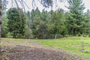 JA 1810 Harper Rd Mls-22