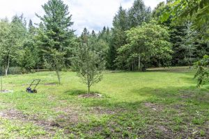 JA 1810 Harper Rd Mls-29