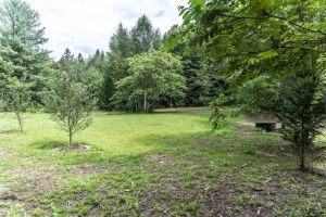 JA 1810 Harper Rd Mls-32