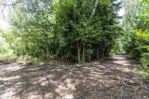 JA 1810 Harper Rd Mls-34