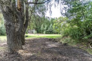 JA 1810 Harper Rd Mls-35