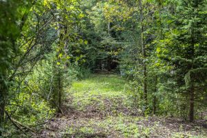 JA 1810 Harper Rd Mls-37