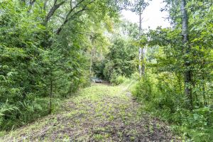 JA 1810 Harper Rd Mls-39