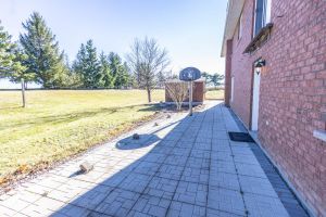 JA 3755 Simcoe St N Mls-101
