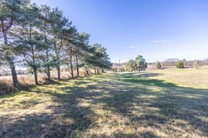 JA 3755 Simcoe St N Mls-106