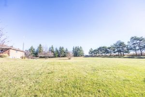 JA 3755 Simcoe St N Mls-15