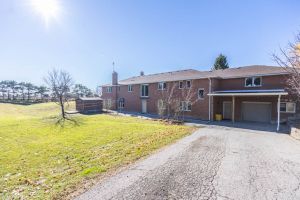 JA 3755 Simcoe St N Mls-97
