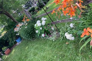 JA 41 33rd St Mls-49